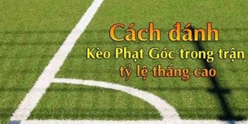 Bật mí cách chơi kèo phạt góc thắng lớn từ cao thủ