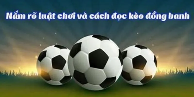 Bí quyết chắc thắng từ cao thủ HitClub
